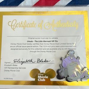 Disney Pin